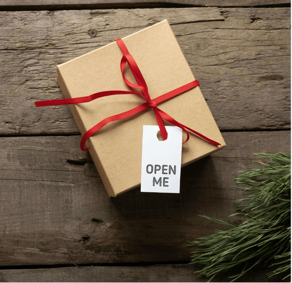 Meilleur cadeau pour Noël : Jumelles de randonnée et voyage compactes et légères 245 g.
