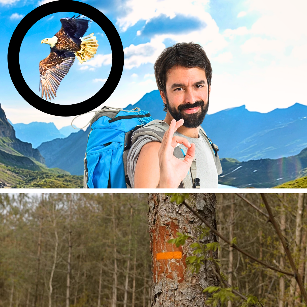 Pourquoi Choisir des Jumelles en Randonnée - Guide Glownney