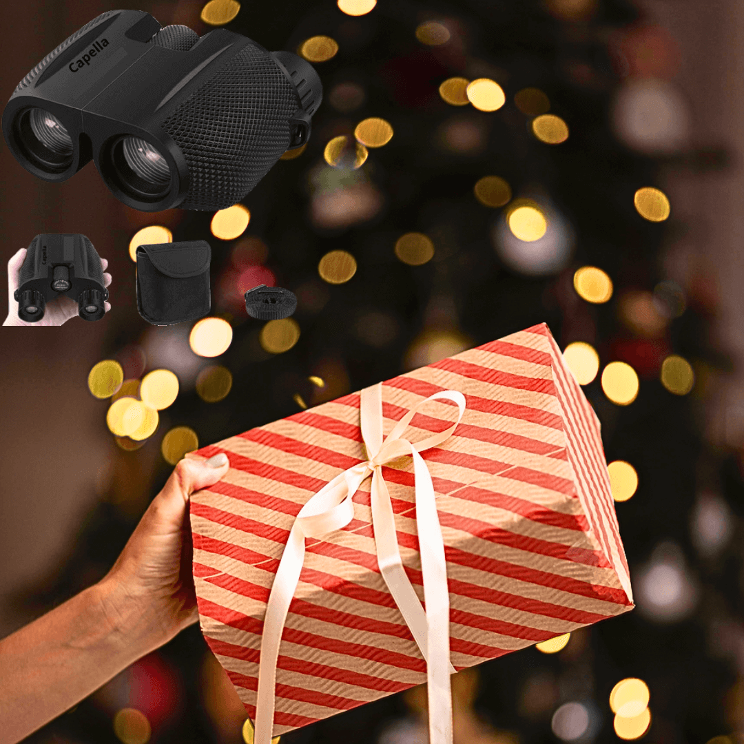 Pourquoi les jumelles compactes sont le cadeau idéal pour Noël ?