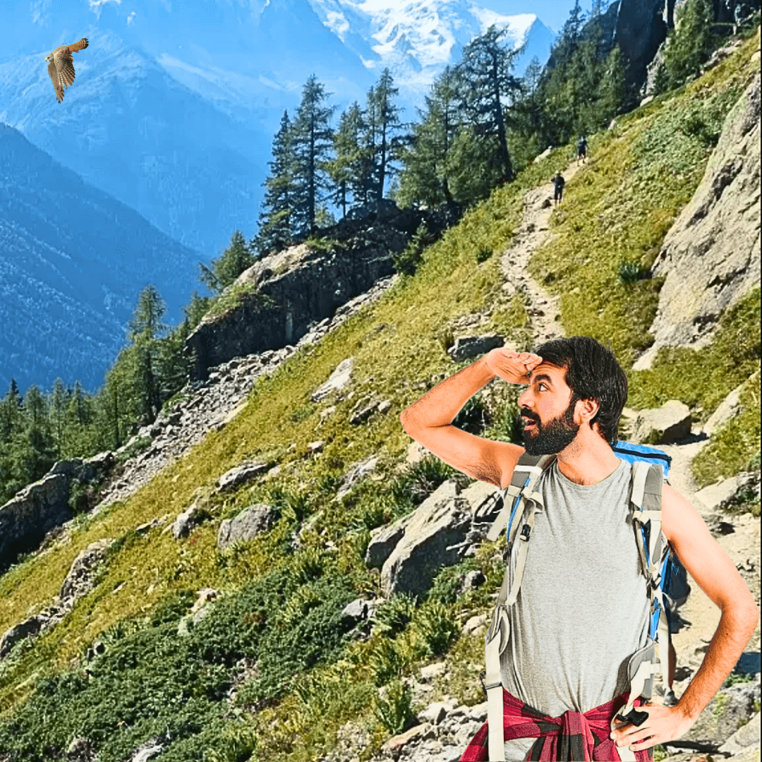 sans jumelles, un randonneur regarde un rapace au ciel